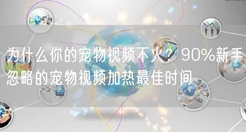 为什么你的宠物视频不火?90%新手忽略的宠物视频加热最佳时间