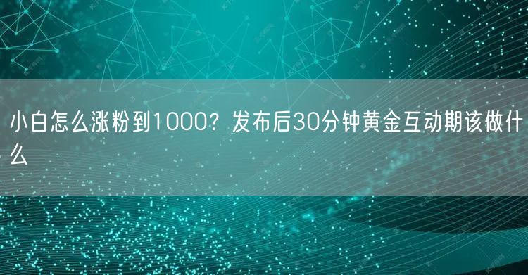 小白怎么涨粉到1000?发布后30分钟黄金互动期该做什么