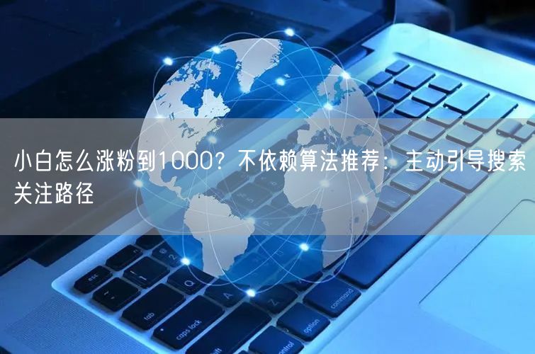 小白怎么涨粉到1000?不依赖算法推荐:主动引导搜索关注路径