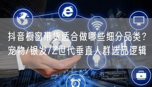 抖音橱窗带货适合做哪些细分品类?宠物/银发/Z世代垂直人群选品逻辑