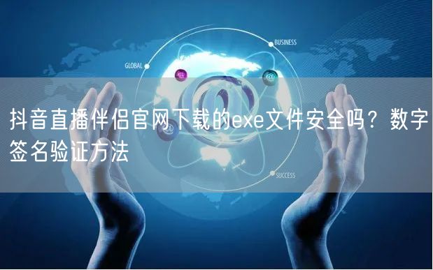 抖音直播伴侣官网下载的exe文件安全吗?数字签名验证方法