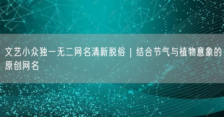 文艺小众独一无二网名清新脱俗|结合节气与植物意象的原创网名