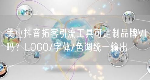 美业抖音拓客引流工具可定制品牌VI吗?LOGO/字体/色调统一输出
