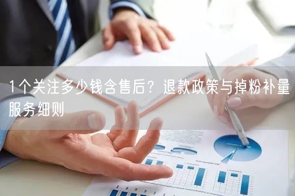 1个关注多少钱含售后?退款政策与掉粉补量服务细则