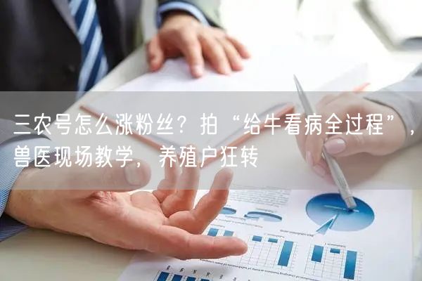 三农号怎么涨粉丝?拍“给牛看病全过程”,兽医现场教学,养殖户狂转