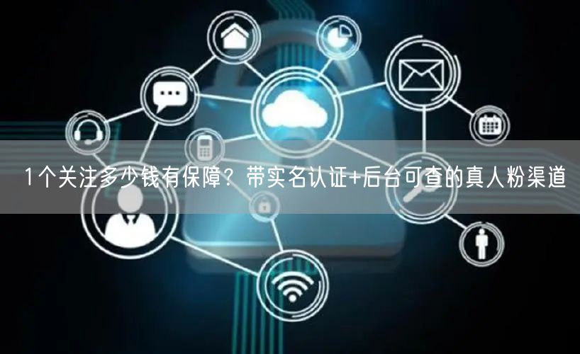 1个关注多少钱有保障？带实名认证+后台可查的真人粉渠道