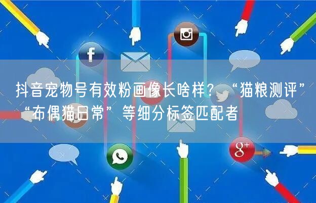 抖音宠物号有效粉画像长啥样?“猫粮测评”“布偶猫日常”等细分标签匹配者