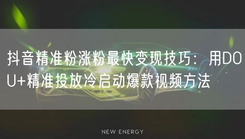 抖音精准粉涨粉最快变现技巧:用DOU+精准投放冷启动爆款视频方法