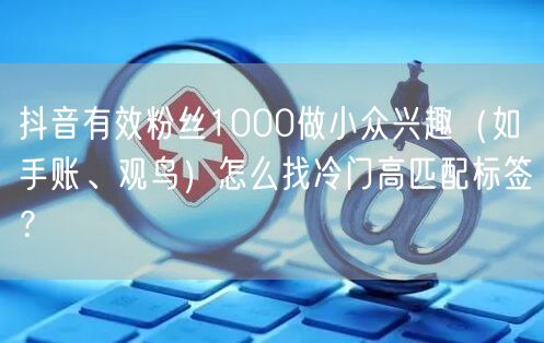 抖音有效粉丝1000做小众兴趣(如手账、观鸟)怎么找冷门高匹配标签?