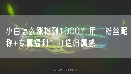 小白怎么涨粉到1000?用“粉丝昵称+专属福利”打造归属感